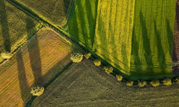 Bandi e Assegni di ricerca presso il CREA